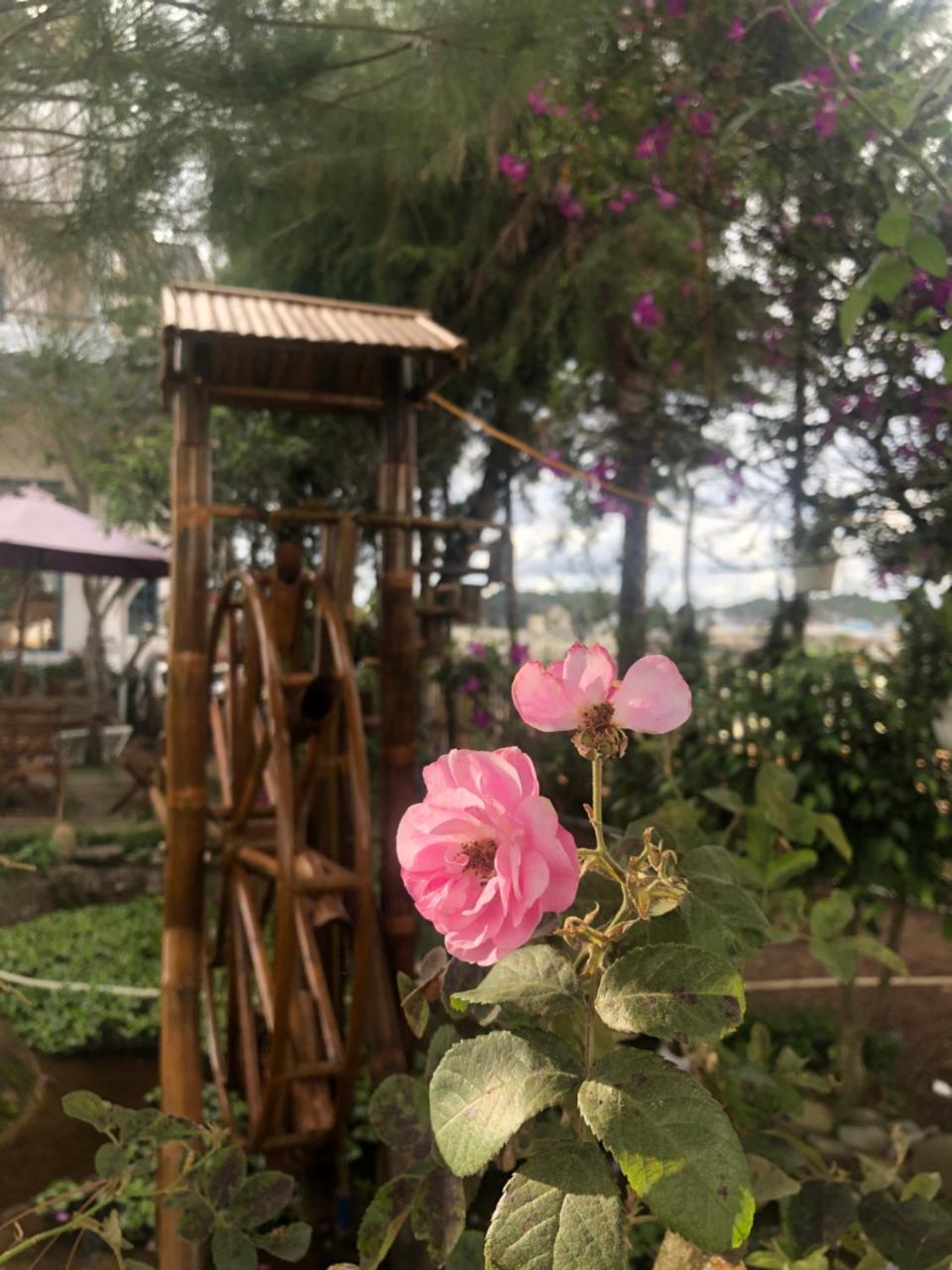 Da Lat Lotus Villa Boutique Dış mekan fotoğraf